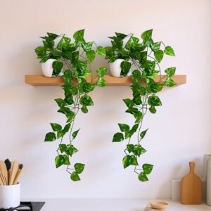 room decor