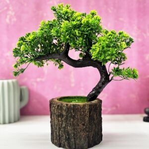 room decor