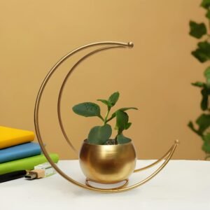 room decor